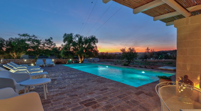 Photo of Under the Fig Tree