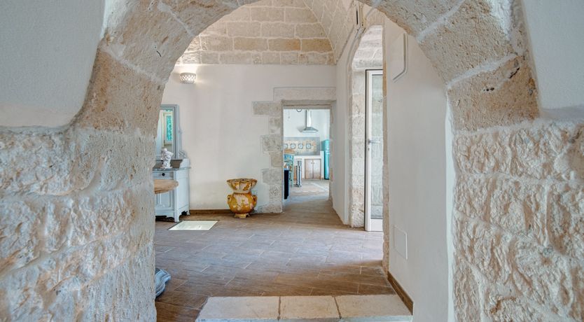 Photo of Under the Fig Tree