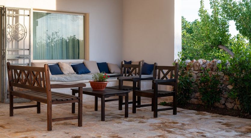 Photo of Under the Fig Tree