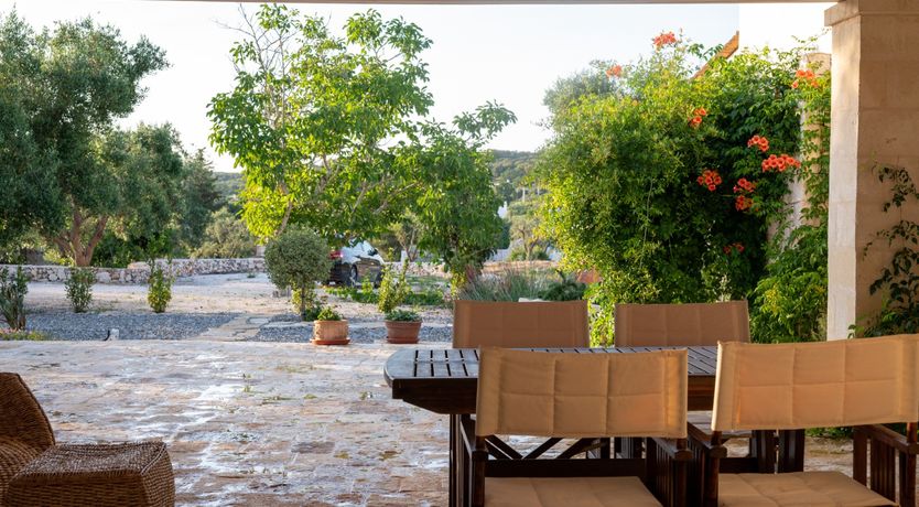 Photo of Field Marigolds