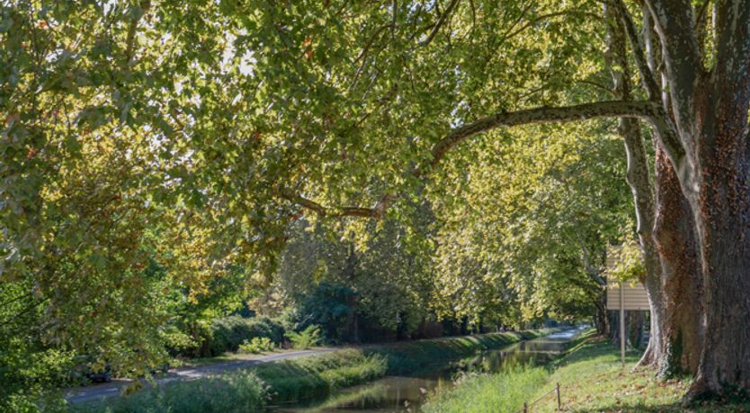 Photo of The Secluded Mill