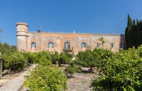 Photo of castles-olive-groves