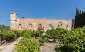 Photo of Castles & Olive Groves