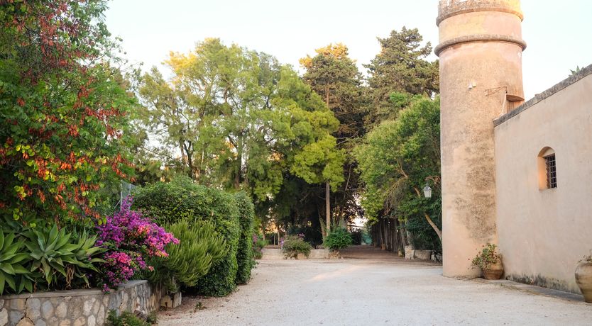 Photo of Castles & Olive Groves