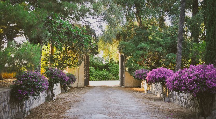 Photo of Castles & Olive Groves
