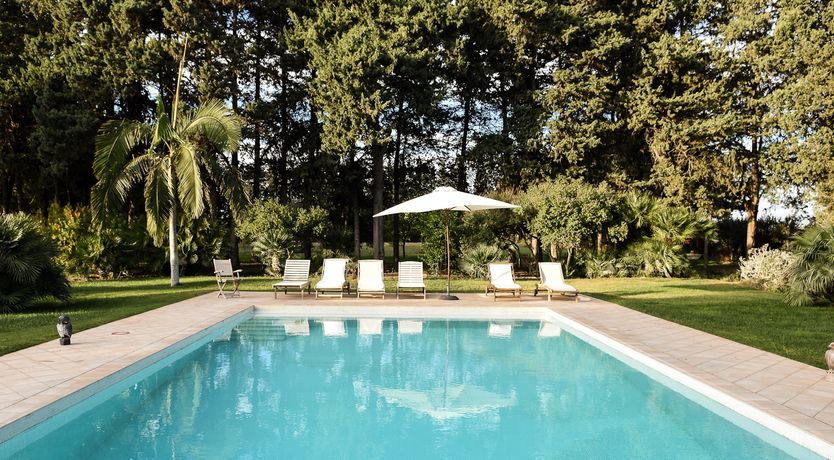 Photo of Castles & Olive Groves