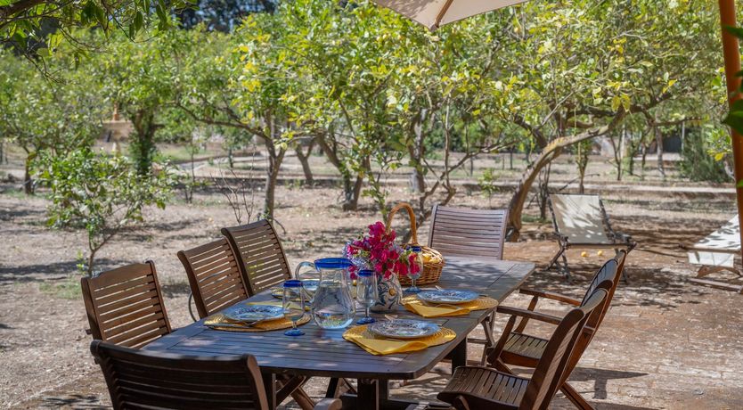 Photo of Castles & Olive Groves