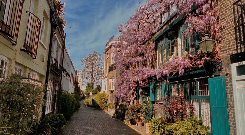 Photo of The Rose of the City