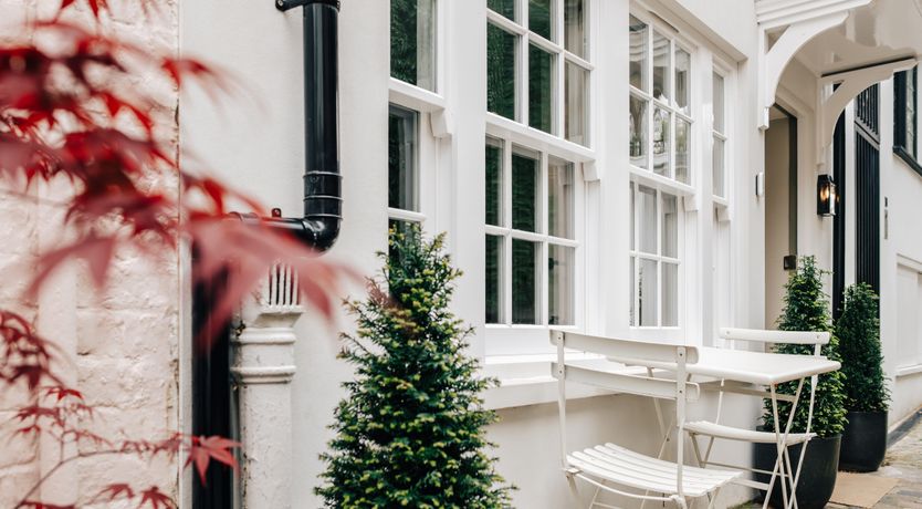 Photo of The Rose of the City