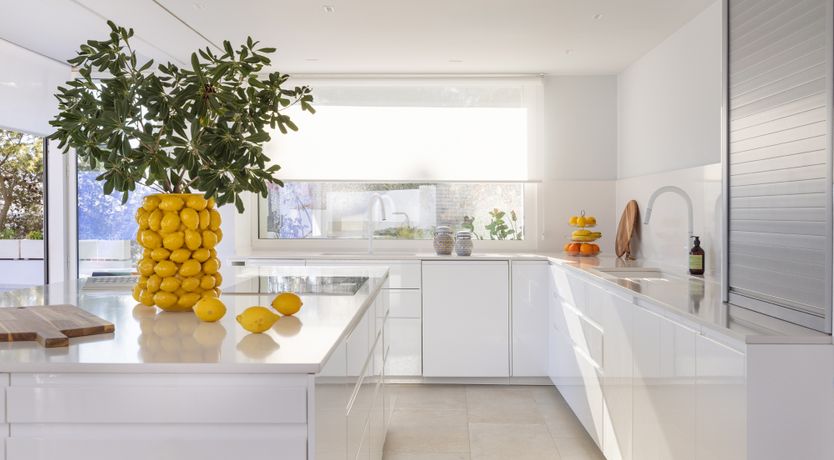 Photo of Sun-Kissed Seaside