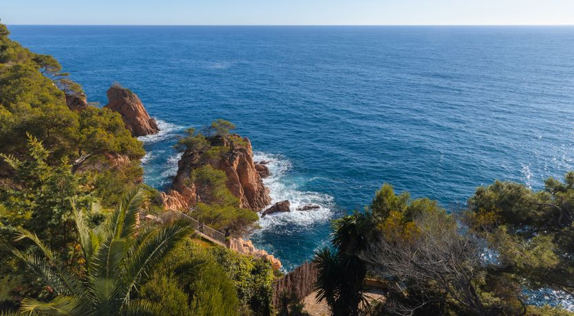 Photo of Sun-Kissed Seaside