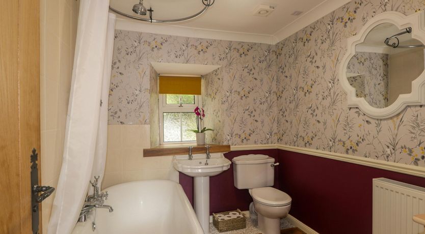 Photo of Scottish Lights