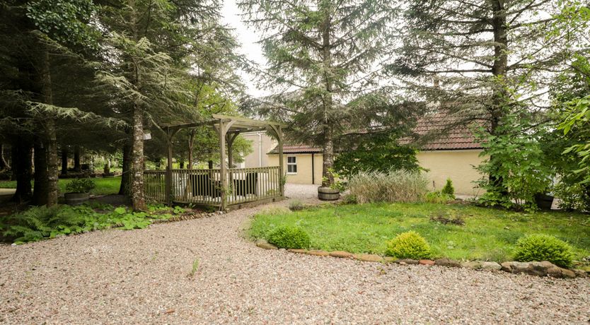 Photo of Scottish Lights