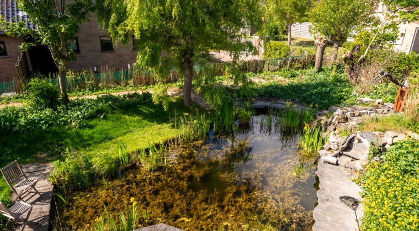 Photo of Villa Zeebries