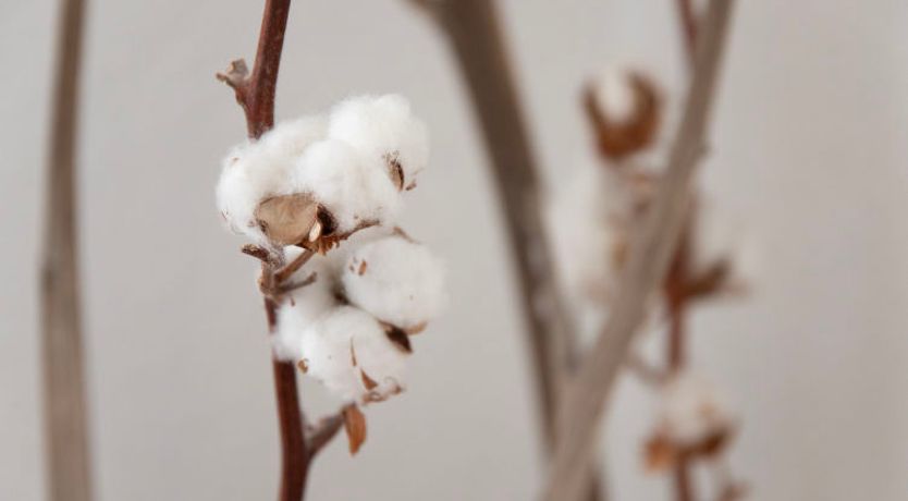 Photo of La Siala Apt.30 Apartment 4