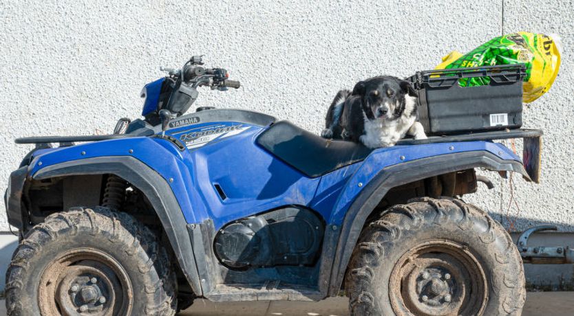 Photo of Crofters View