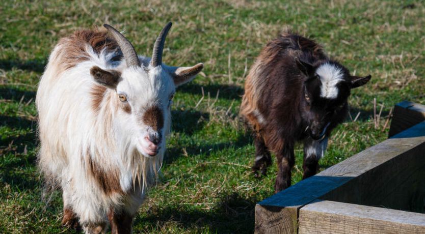 Photo of Crofters View