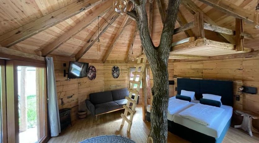 Photo of Treehouse Apartment 7