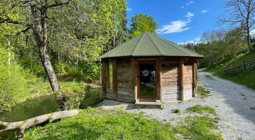 Photo of Treehouse Apartment 7
