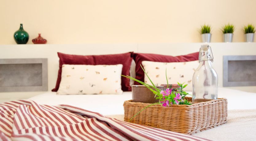 Photo of Dama de noche Apartment 4