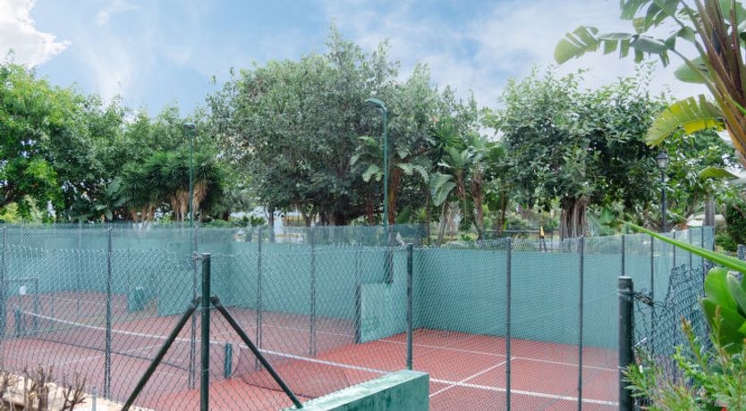 Photo of Dama de noche Apartment 4