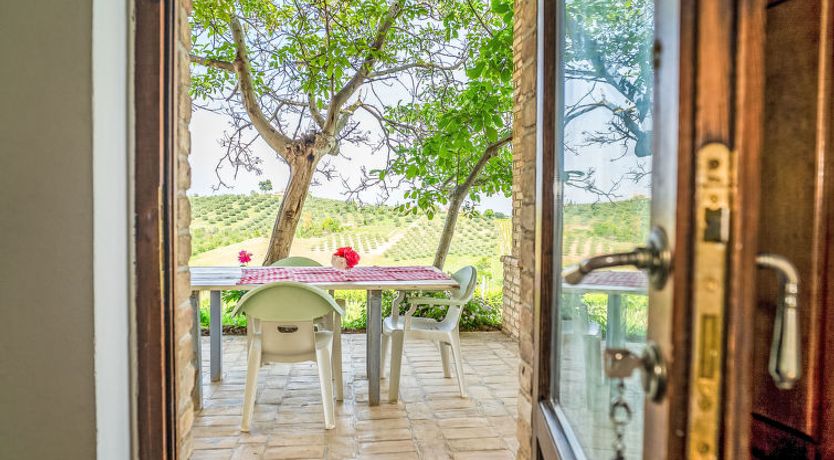 Photo of Grappolo Verde