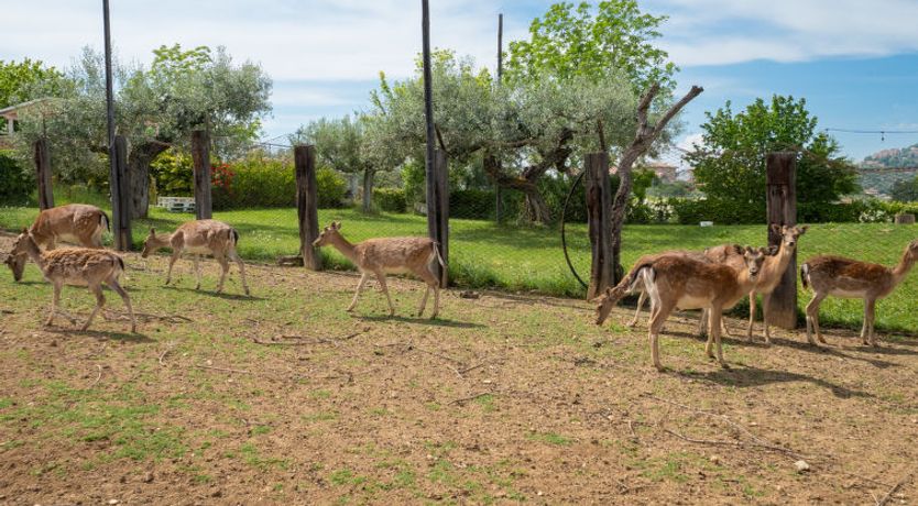 Photo of Bilo Giallo Apartment 2