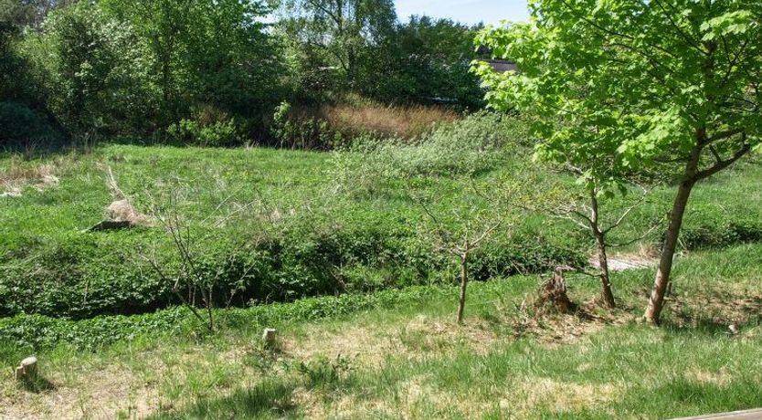 Photo of "Laurine" - 2.7km from the sea