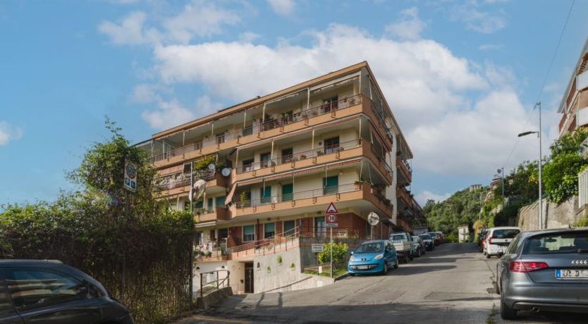 Photo of Caprifoglio