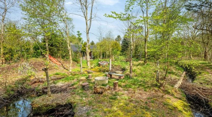 Photo of "Marillia" - 2km from the sea