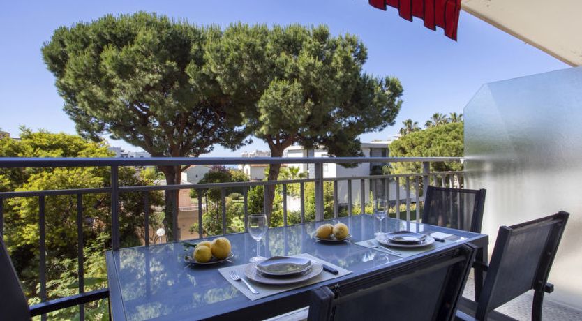 Photo of Le Persépolis