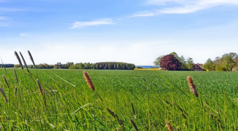 Photo of "Agny" - 2.2km from the sea