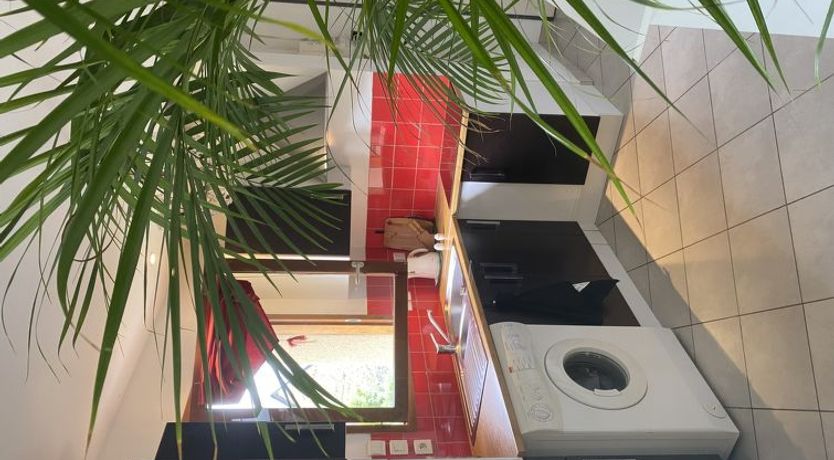 Photo of Les Coquelicots