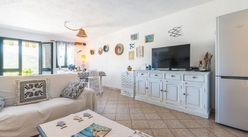 Photo of Solanas mare