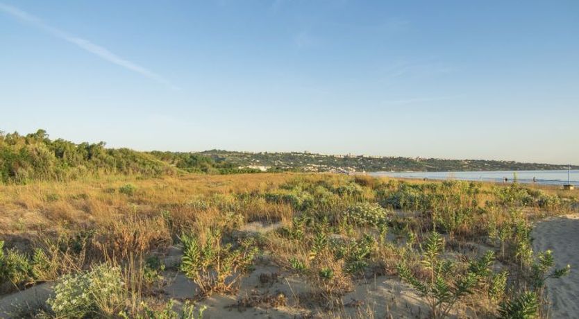 Photo of Il Pioppeto