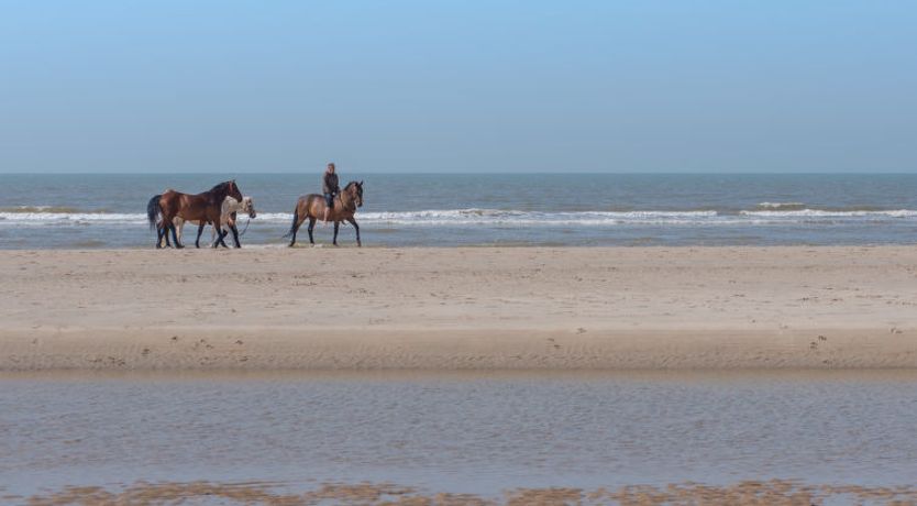 Photo of Royal Golf Gardens Apartment 5