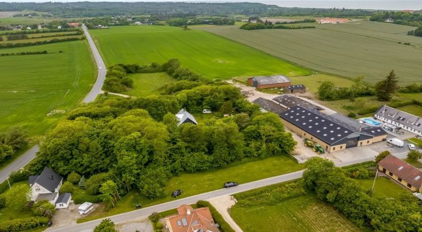 Photo of "Elza" - 2.5km from the sea