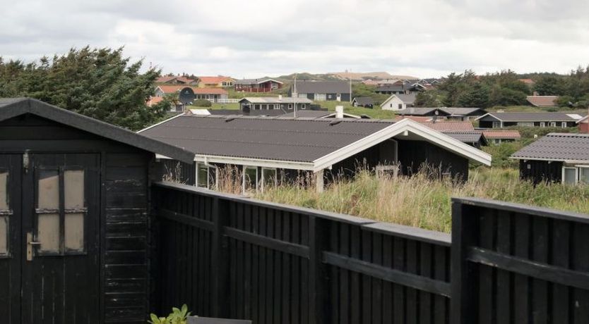 Photo of "Wifred" - 250m from the sea