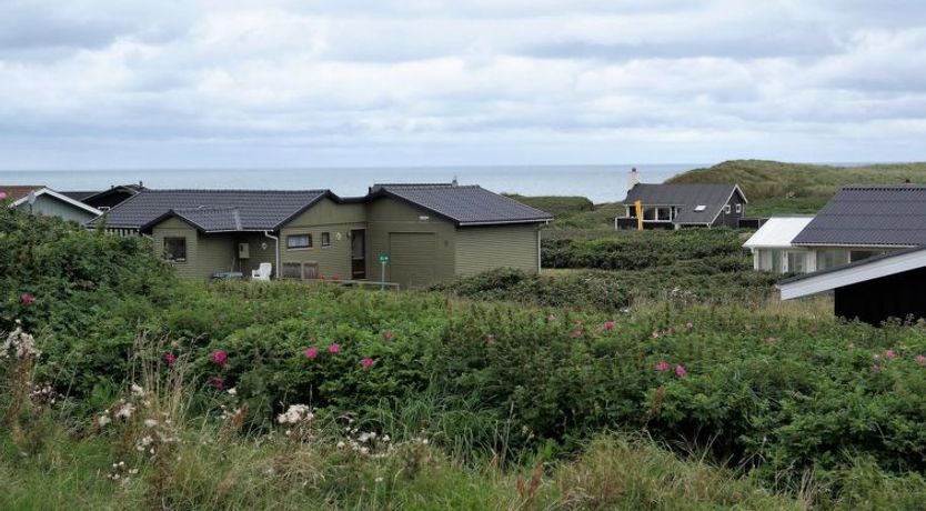 Photo of "Wifred" - 250m from the sea