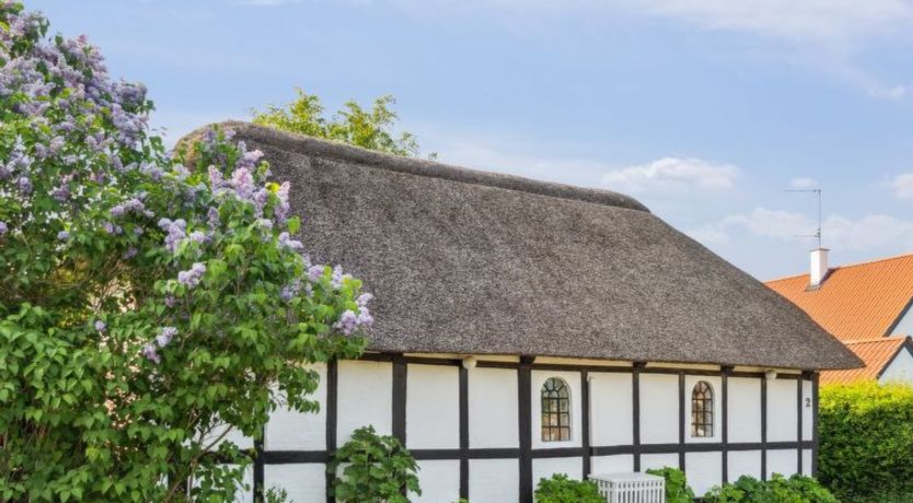 Photo of "Alfhild" - 3km from the sea