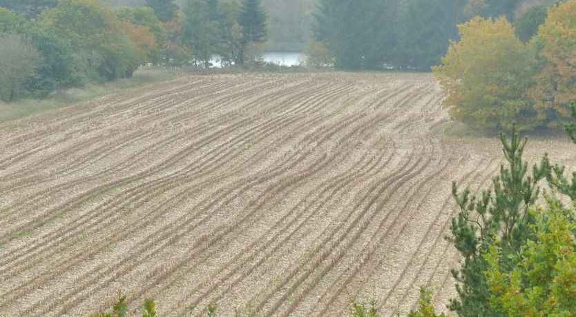 Photo of "Piia" - 800m from the sea