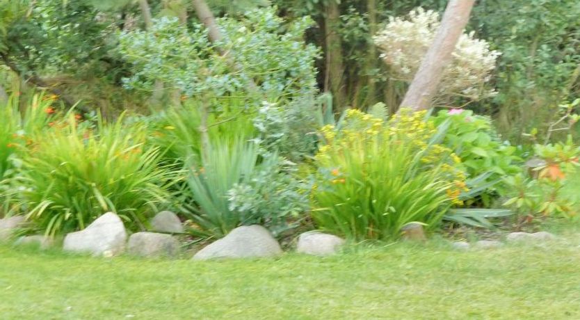 Photo of "Jouko" - 400m from the sea