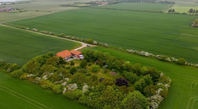 Photo of "Soria" - 600m to the fjord