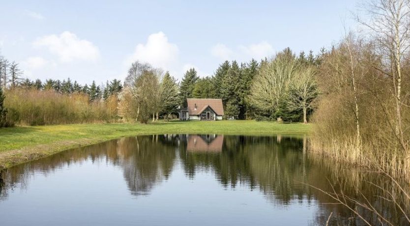 Photo of "Alard" - 300m to the fjord