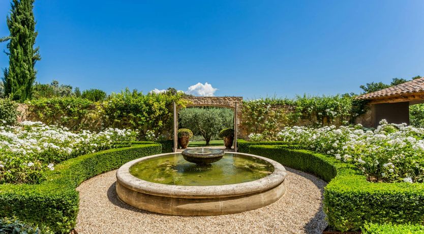Photo of Lavender Field