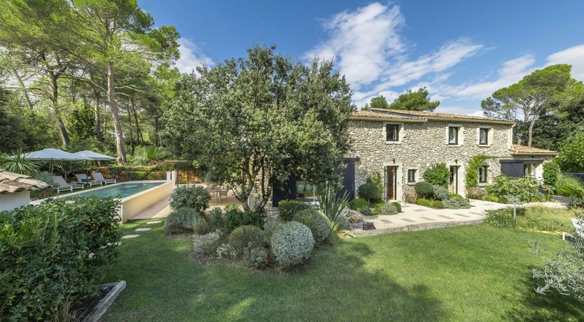 Photo of Olive & Moon