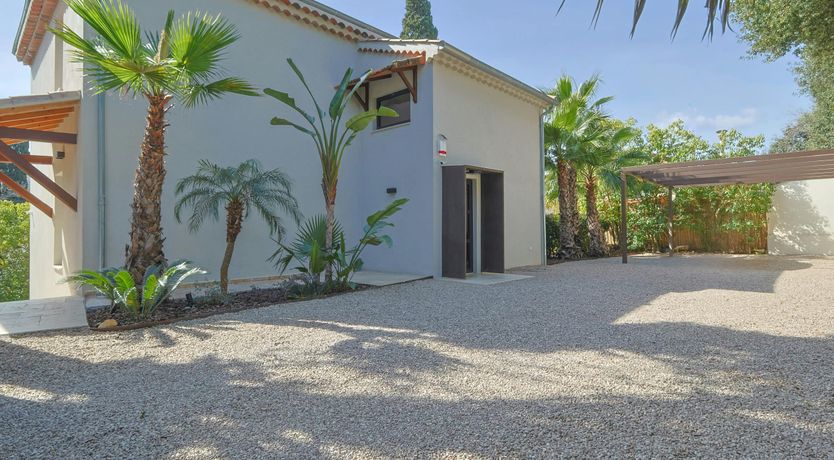 Photo of Palm Pleasure