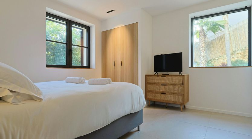 Photo of Palm Pleasure