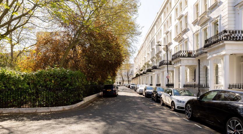 Photo of Bloom like Love