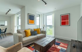 Photo of colours-of-now